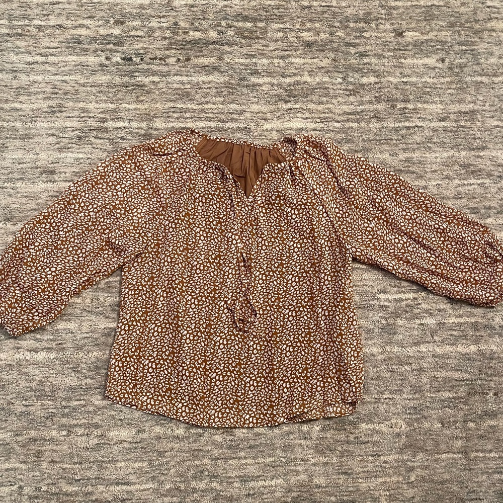 Brown Blouse
